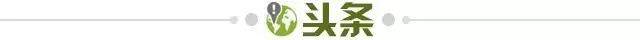 1772063742497092834.jpg 头条.jpg